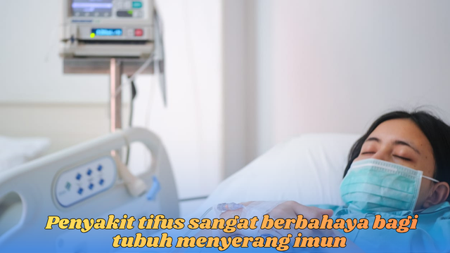 penyakit tifus