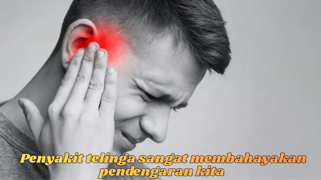 penyakit telinga
